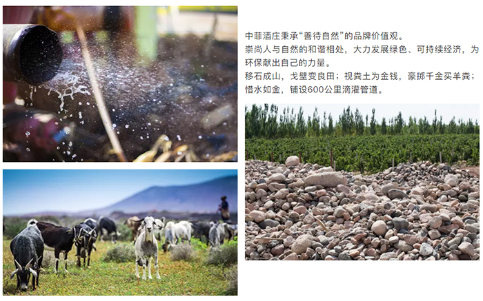 中菲酒庄秉承“善待自然”的品牌价值观