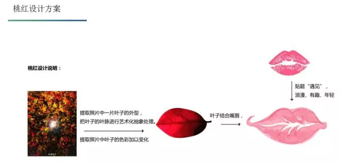 中菲酒庄桃红葡萄酒设计方案